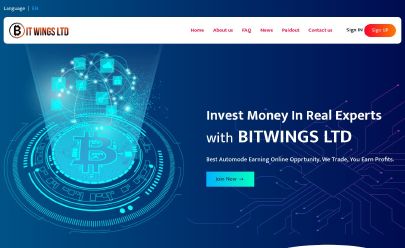 Bitwings