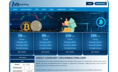 1mlconsulting