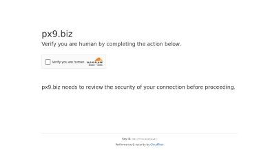 HYIP screenshot  PX9.BIZ